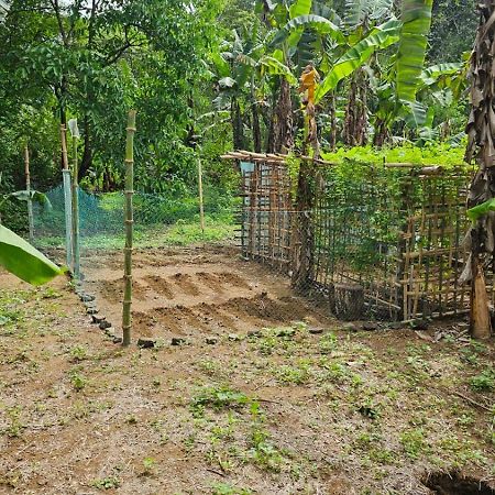 Eastdee Camping Ground Lidlidda المظهر الخارجي الصورة