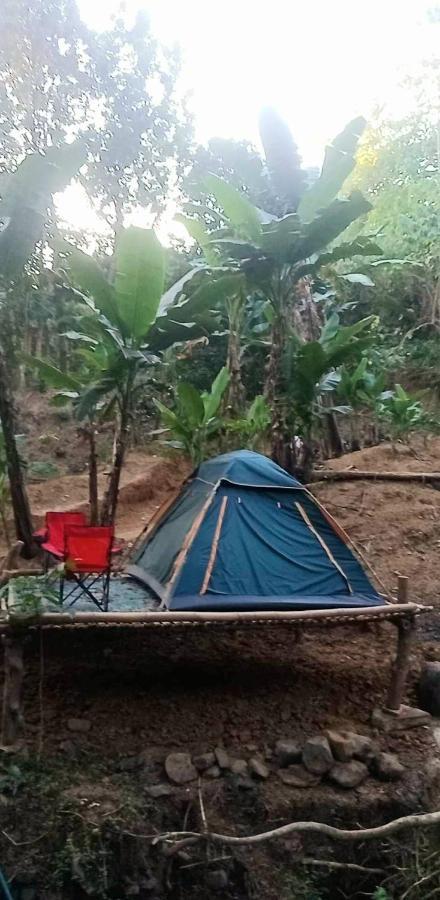 Eastdee Camping Ground Lidlidda المظهر الخارجي الصورة
