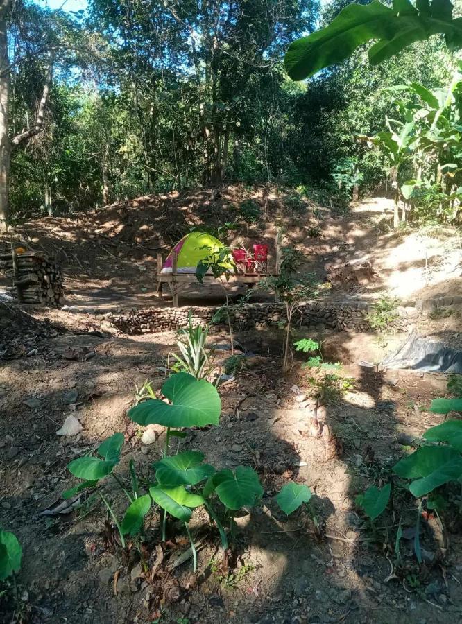 Eastdee Camping Ground Lidlidda المظهر الخارجي الصورة
