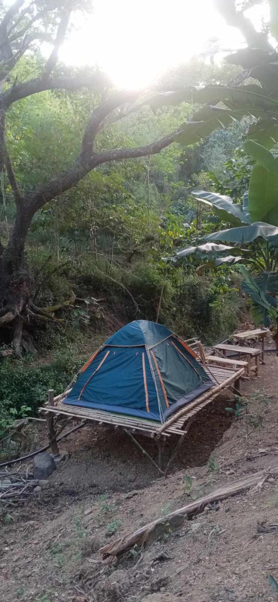 Eastdee Camping Ground Lidlidda المظهر الخارجي الصورة