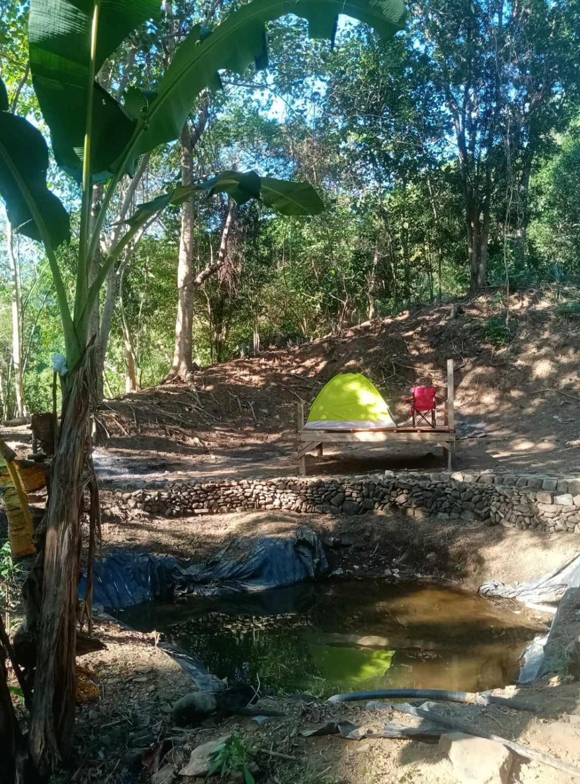 Eastdee Camping Ground Lidlidda المظهر الخارجي الصورة