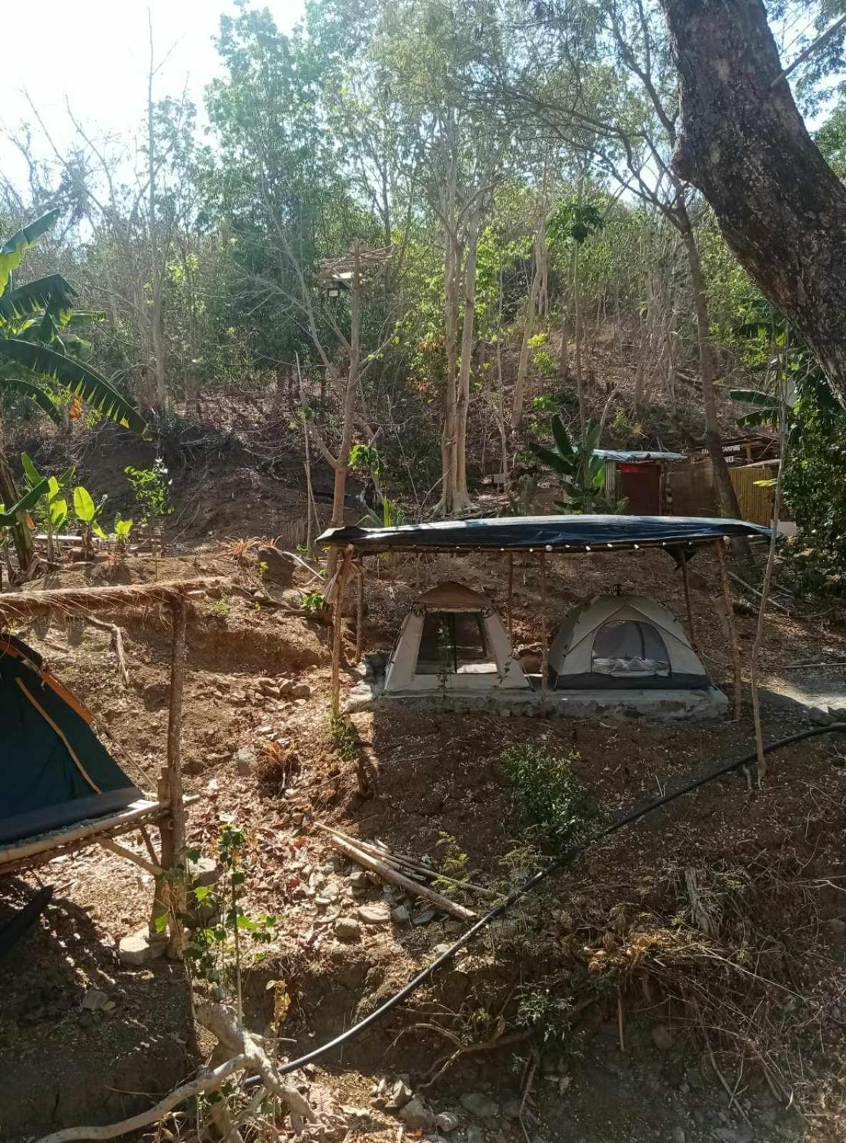 Eastdee Camping Ground Lidlidda المظهر الخارجي الصورة