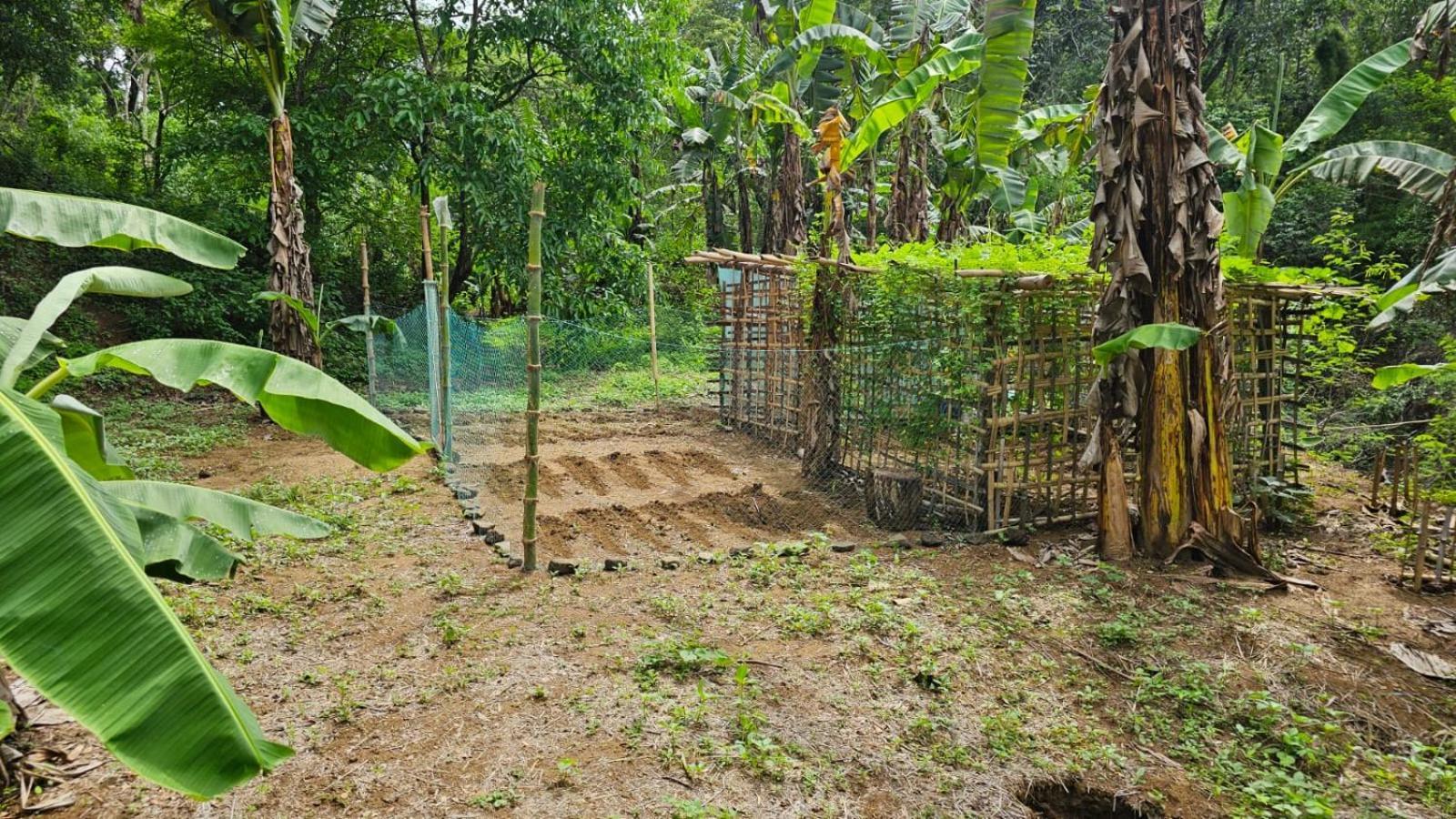 Eastdee Camping Ground Lidlidda المظهر الخارجي الصورة